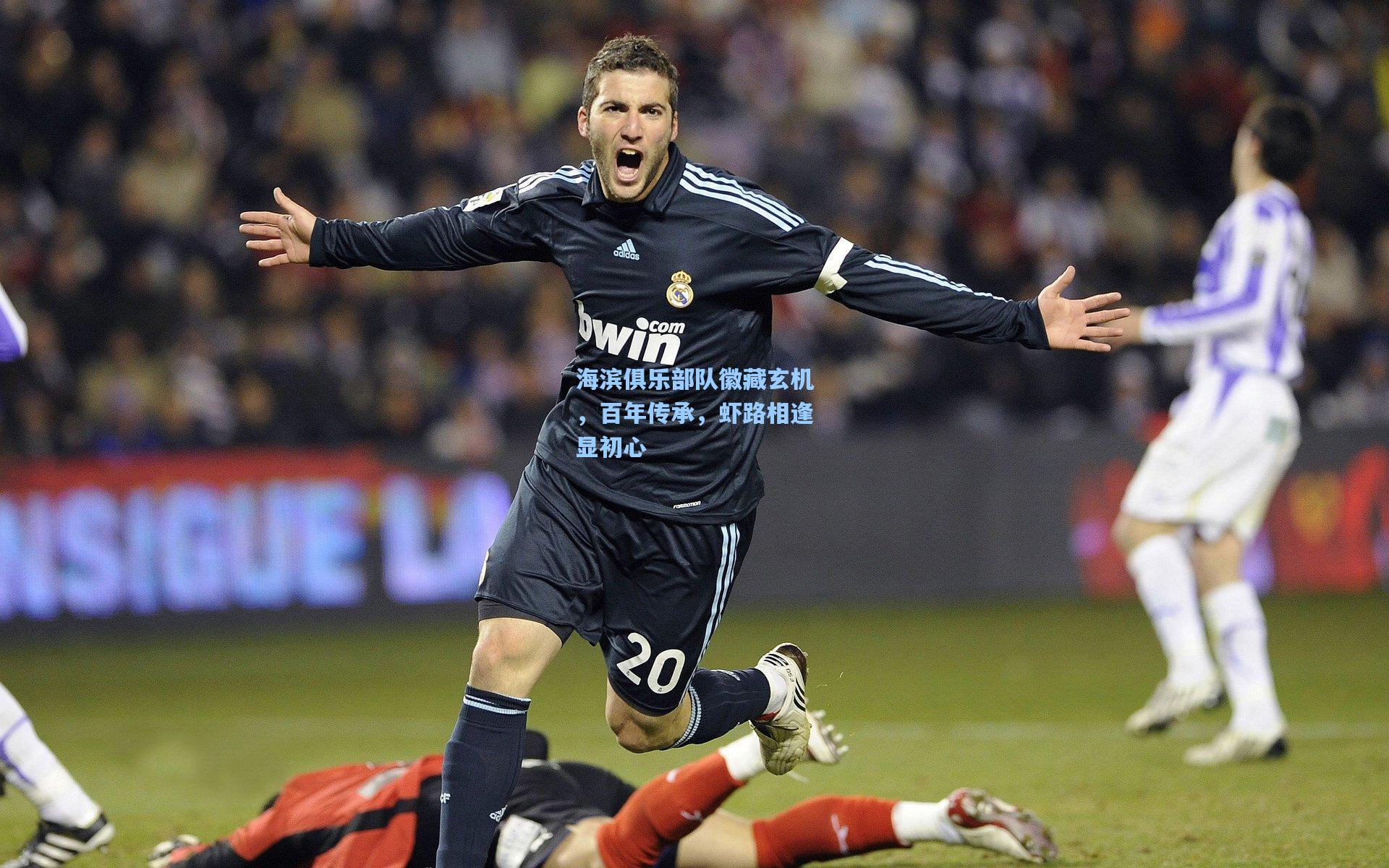 海滨俱乐部队徽藏玄机，百年传承，虾路相逢显初心